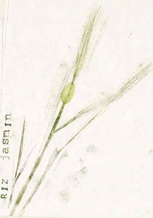 riz-jasmin.jpg