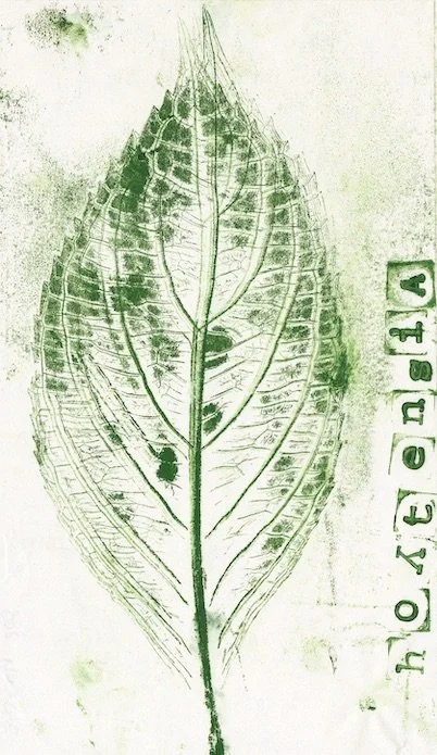 hortensia copie.jpeg