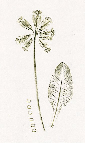 EPMS de Chancepoix, Château-Landon (77) - printemps 2025