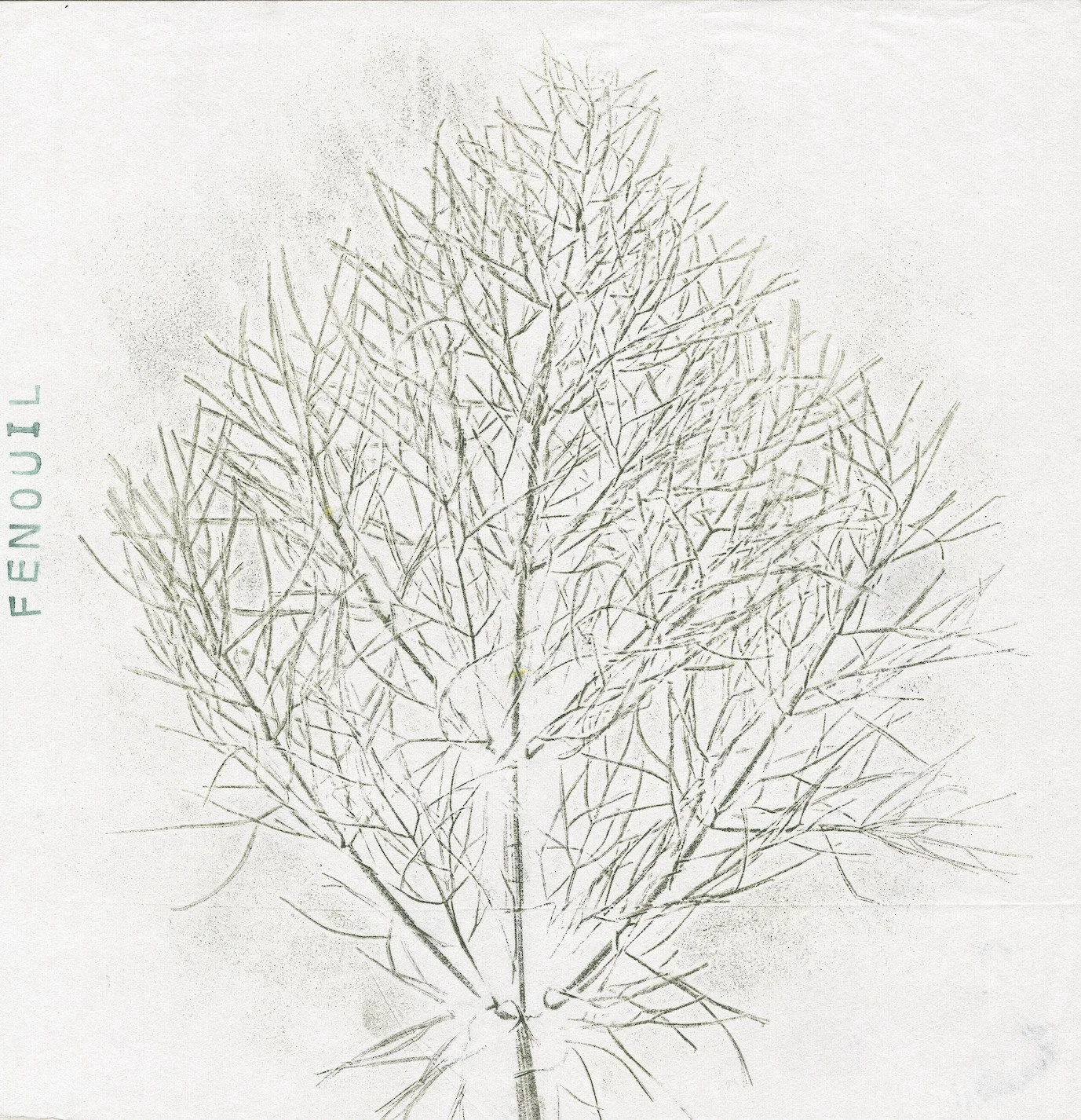 Les Jardins de Traverse, Floyon (59) - septembre 2023