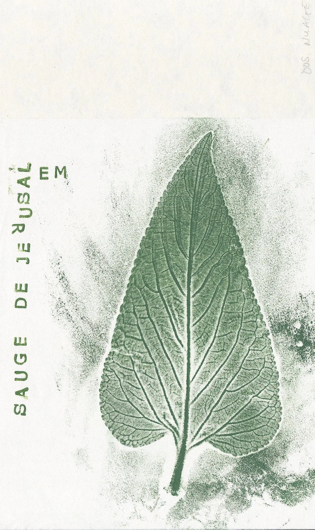 Ferme du Terrier, La Flamengrie (02) - juin 2024