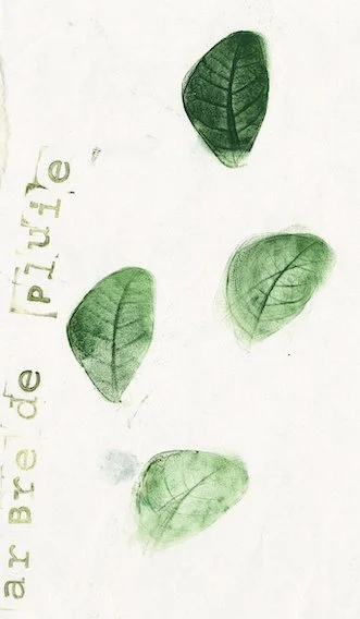 arbre-de-pluie.jpg