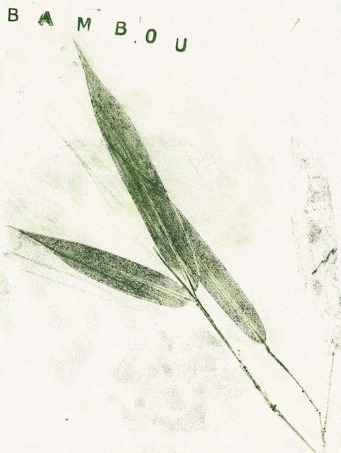 bambou2 copie.jpeg