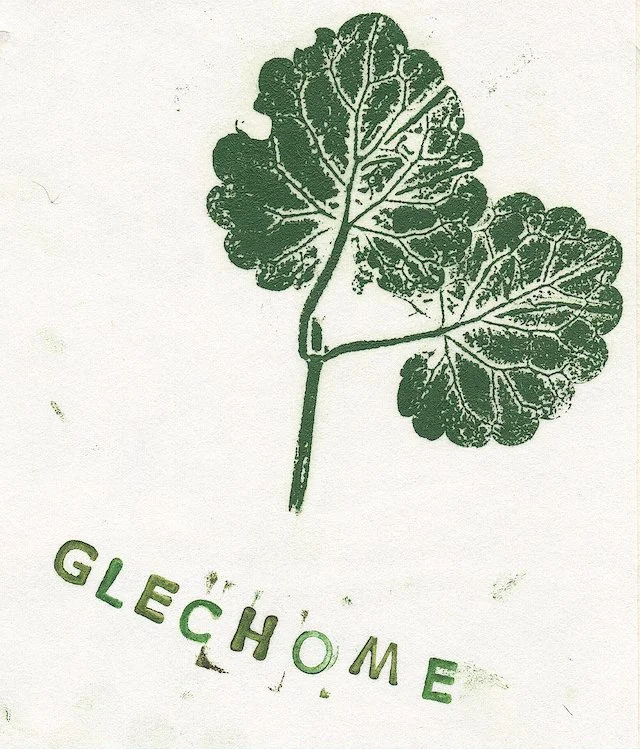 glechome.jpg