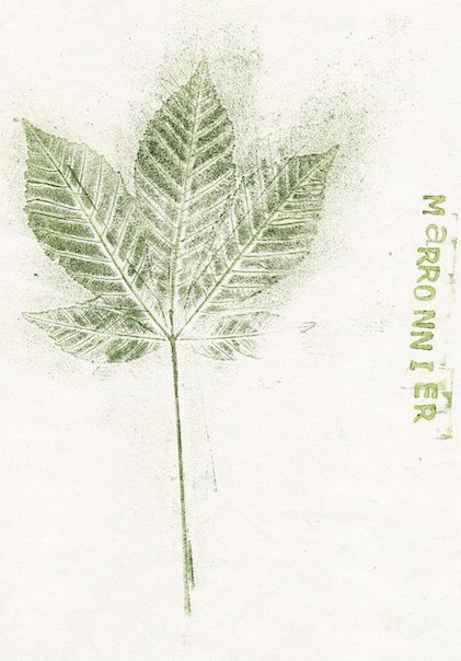 marronnier1.jpg