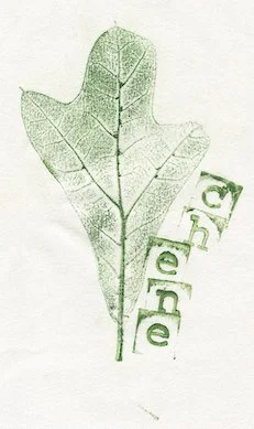 chene4.jpg