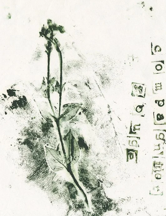 compagnon-rouge0.jpg