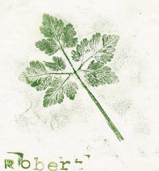 geranium1.jpg