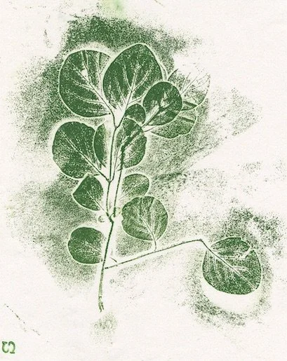 symphorine0 copie.jpeg