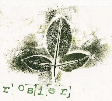 rosier0 copie.jpeg