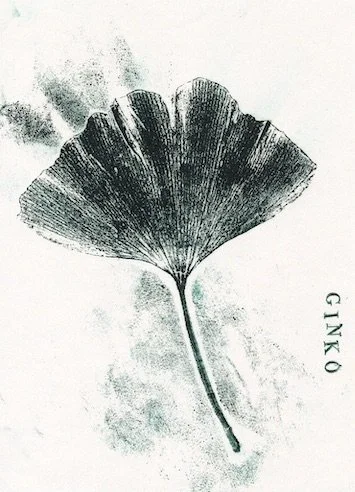 ginko copie.jpeg