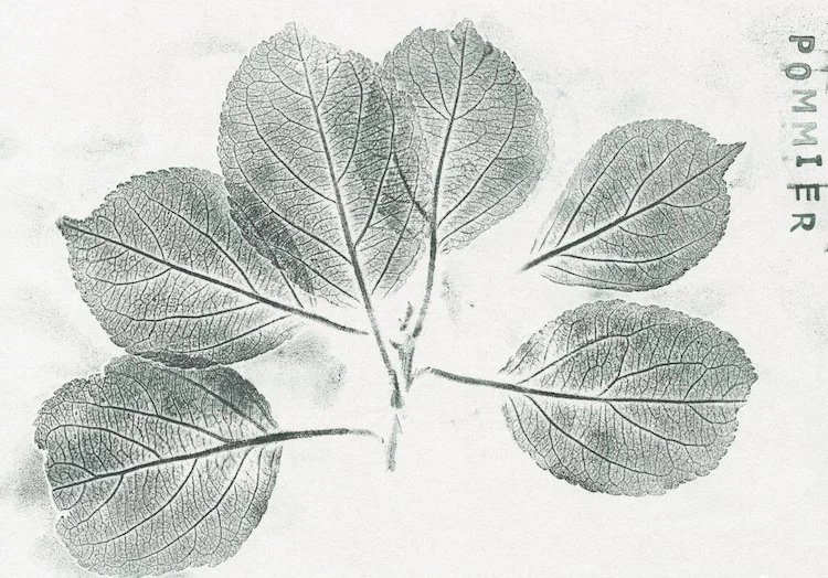 Lycée agricole, Fontaine-lès-Vervins (02) - novembre 2023