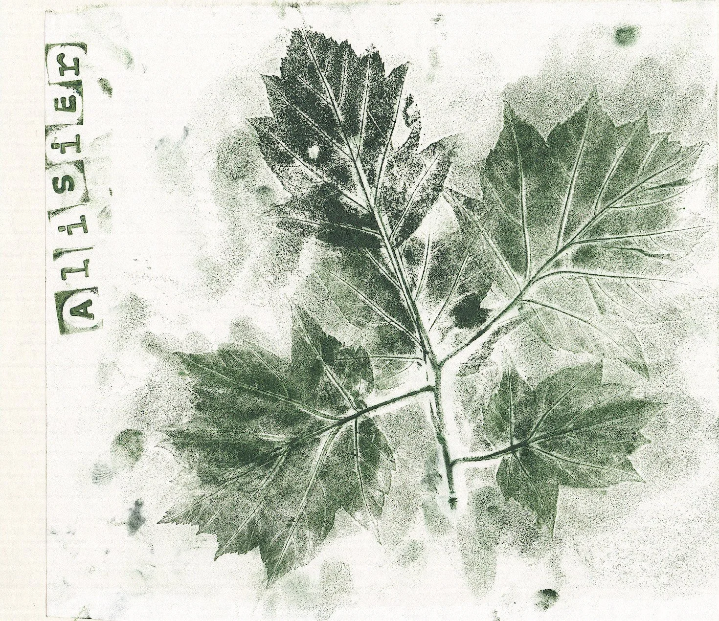 École maternelle et primaire de Villebéon (77), la forêt et la mare, juin 2024