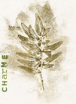 charme1.jpg