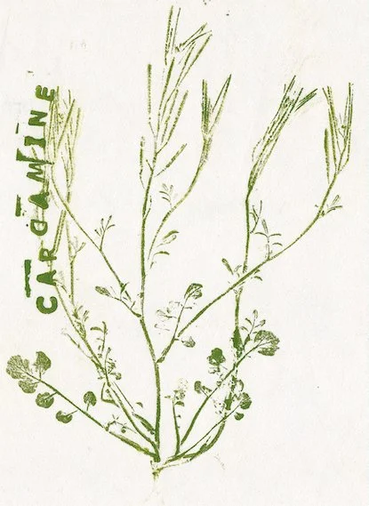 Notown Café, Nanteau-sur-Lunain (77) - mars 2025