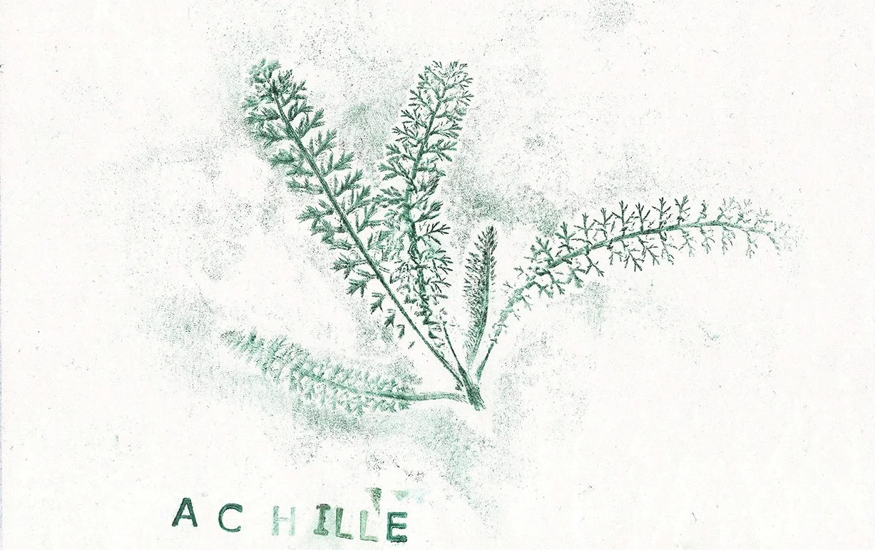 Collège Dupleix, Landrecies (59) - mars 2024