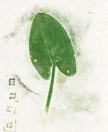 Les Farfadets, Scouts de Voulx (77) - janvier 2025