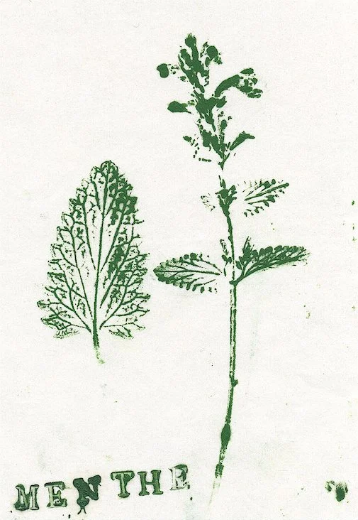 menthe.jpg