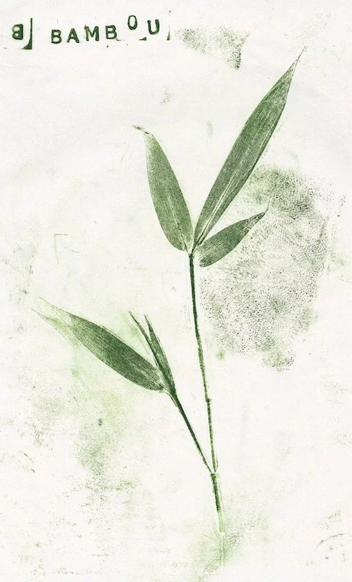 bambou3 copie.jpeg