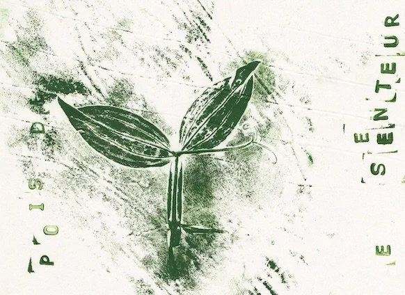 pois-senteur copie.jpeg