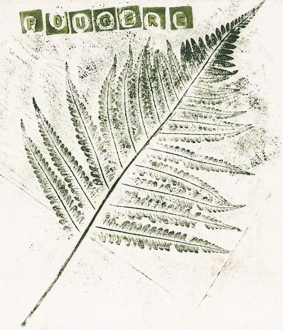 fougere2 copie.jpeg