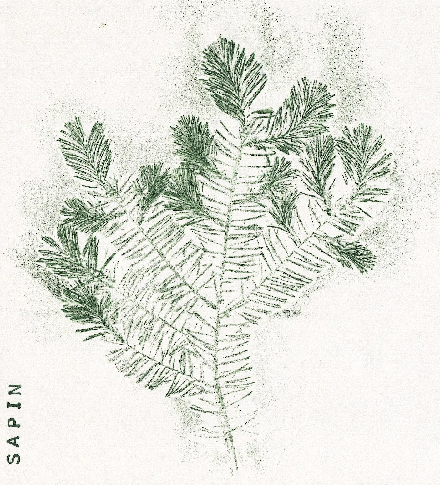 Tuilerie de Bezanleu, Environnement Bocage Gâtinais, Treuzy-Levelay (77) - printemps 2025