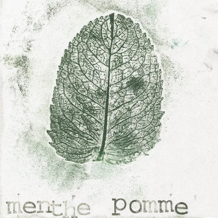 Maison du Bocage, Sains-du-Nord (59) - mai 2023