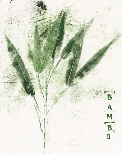 bambou1 copie.jpeg