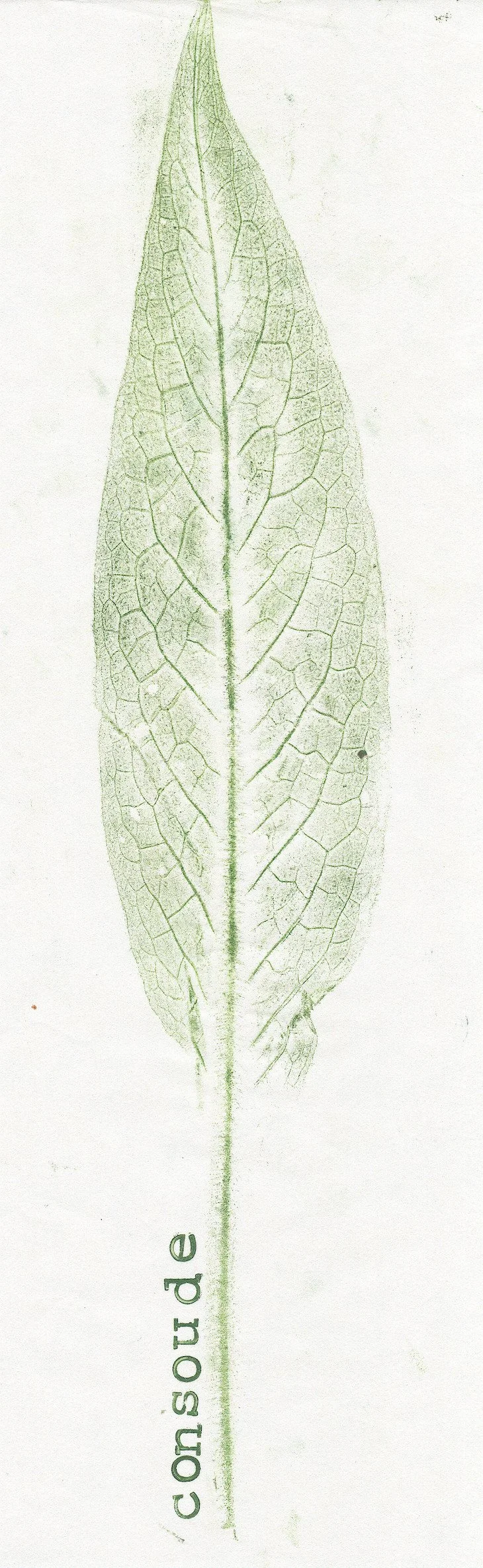 L'Oise aux livres et la ville d'Étréaupont (02) - juin 2024