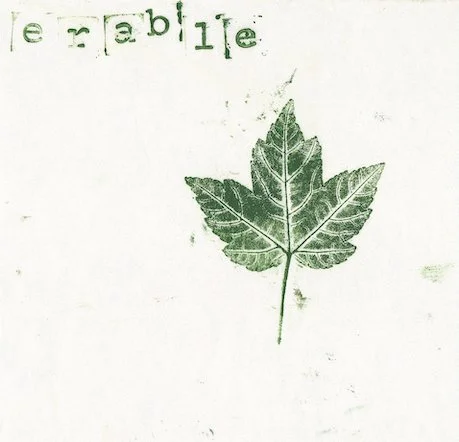L'arboretum de la Sédelle, Les écoles de  /Marjorie Méa, Crozant (23) - printemps 2026