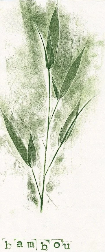 bambou4 copie.jpeg