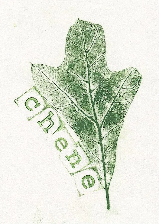 chene.jpg