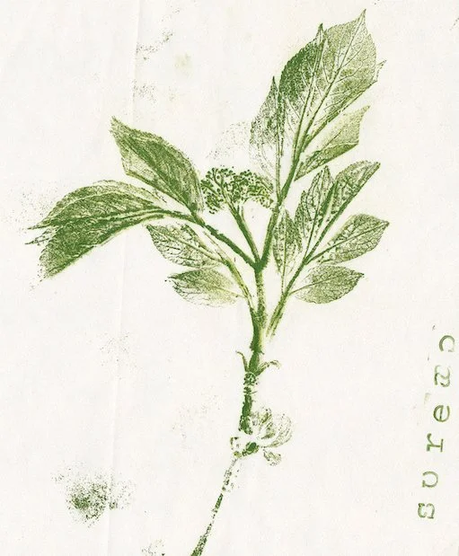 Association BSL, Blennes (77) - avril 2026