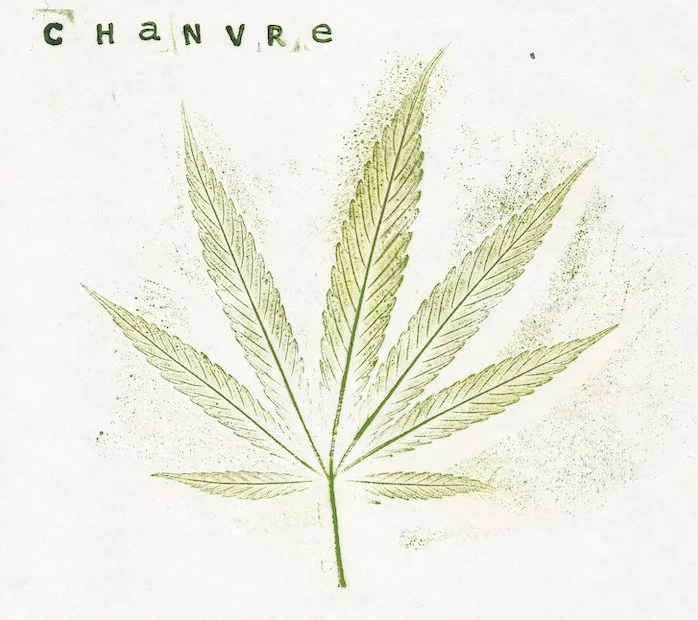 chanvre.jpg