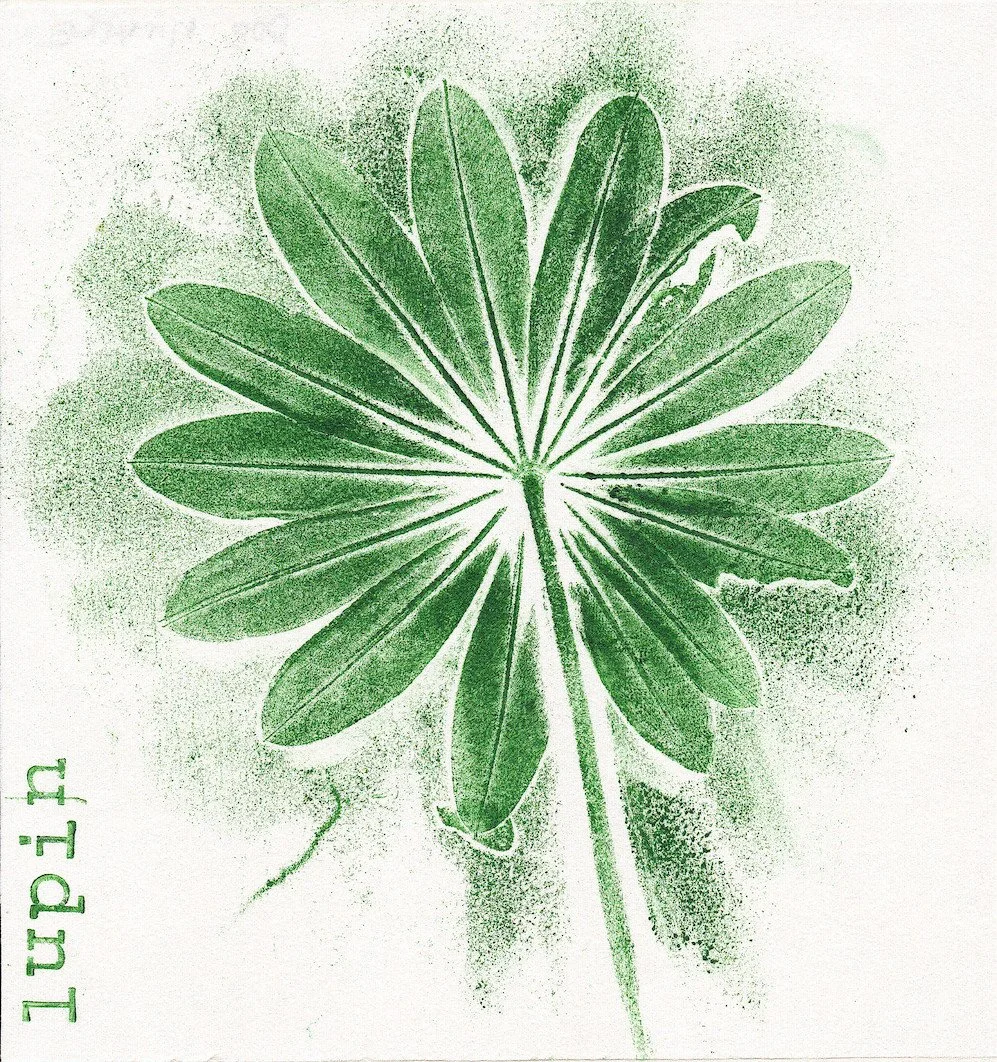 Les Echappées de La chambre d'eau, Parfondeval (02) - mai 2024