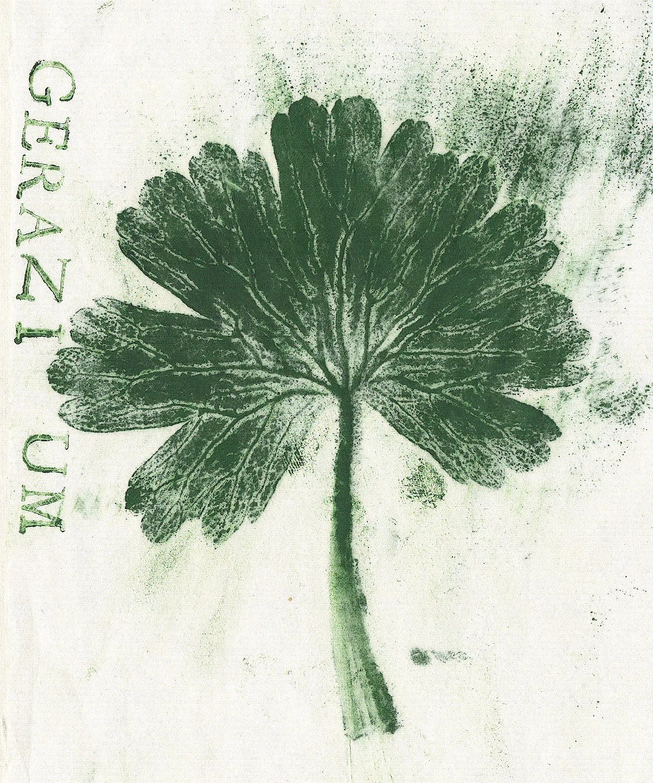 geranium0.jpg