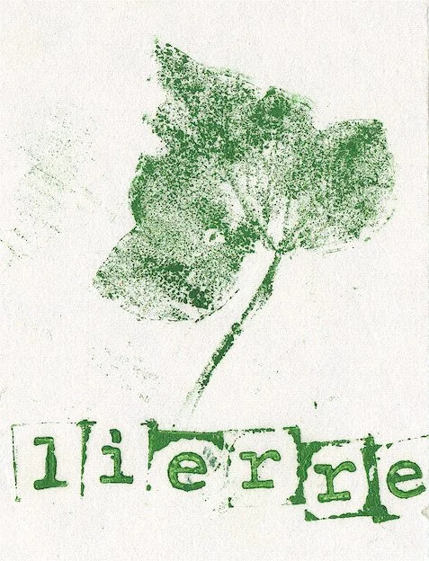 lierre3.jpg
