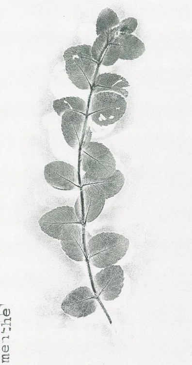 Passerelle 70, Guise (02) - septembre 2023