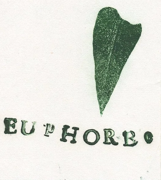 euphorbe.jpg