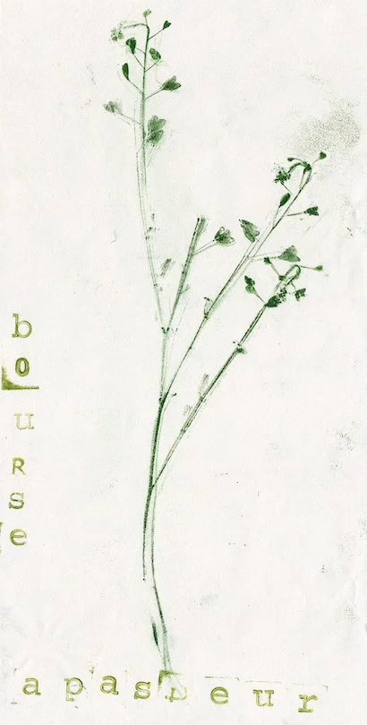 bourse-pasteur2.jpg