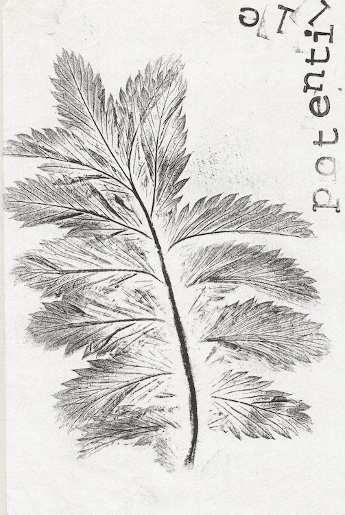 Eclectic Campagne(s), La chambre d'eau, Le Favril (59) - mai 2023