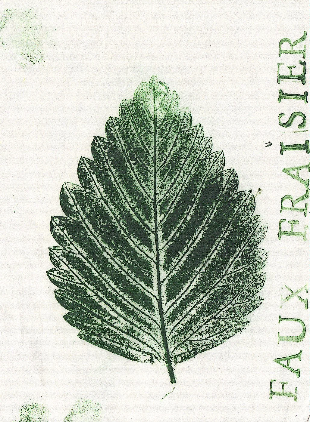 faux-fraisier.jpg