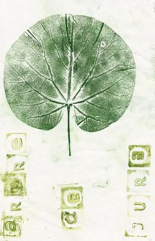 arbre-judee.jpg