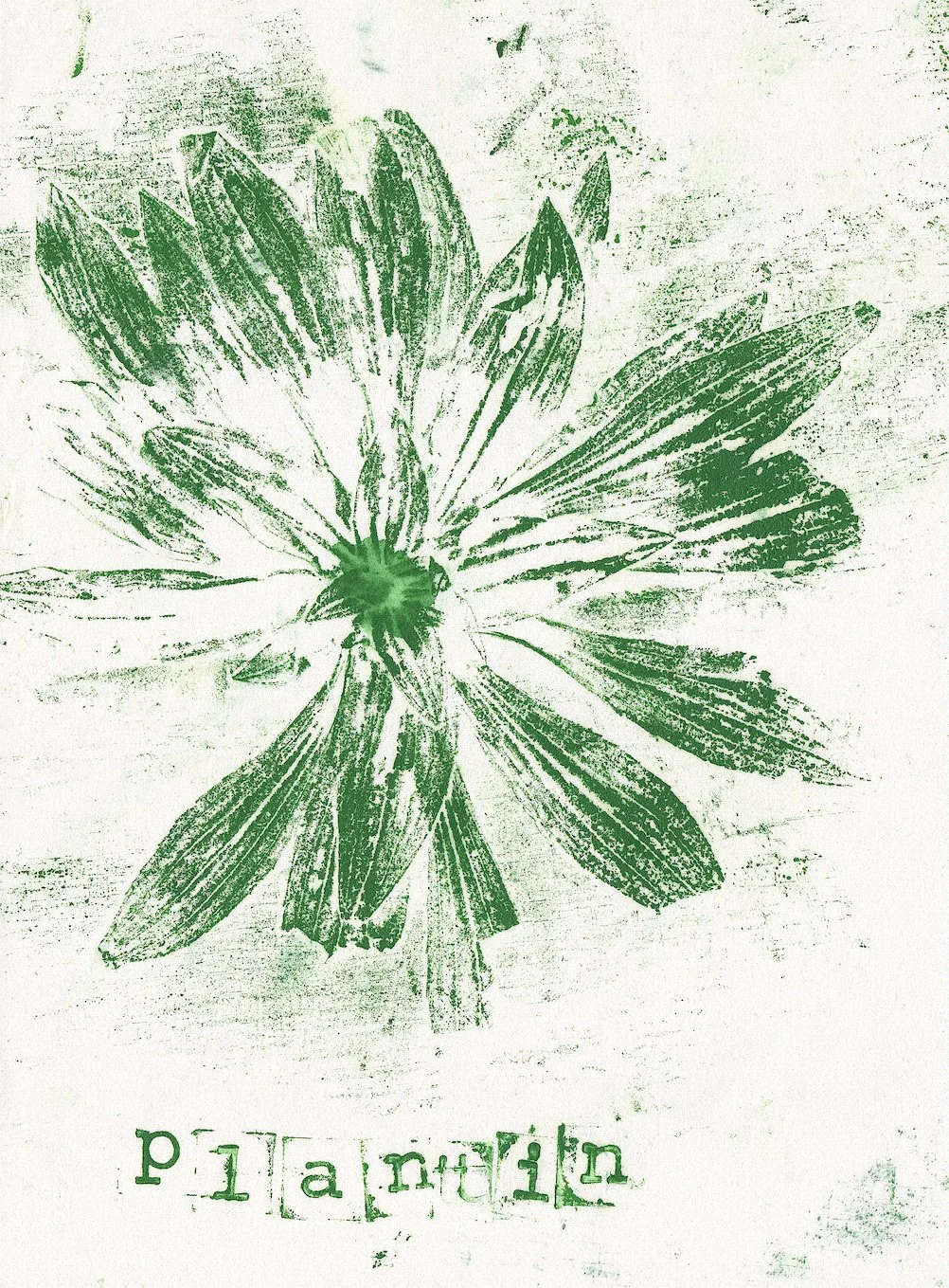 plantin.jpg