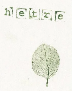hetre.jpg