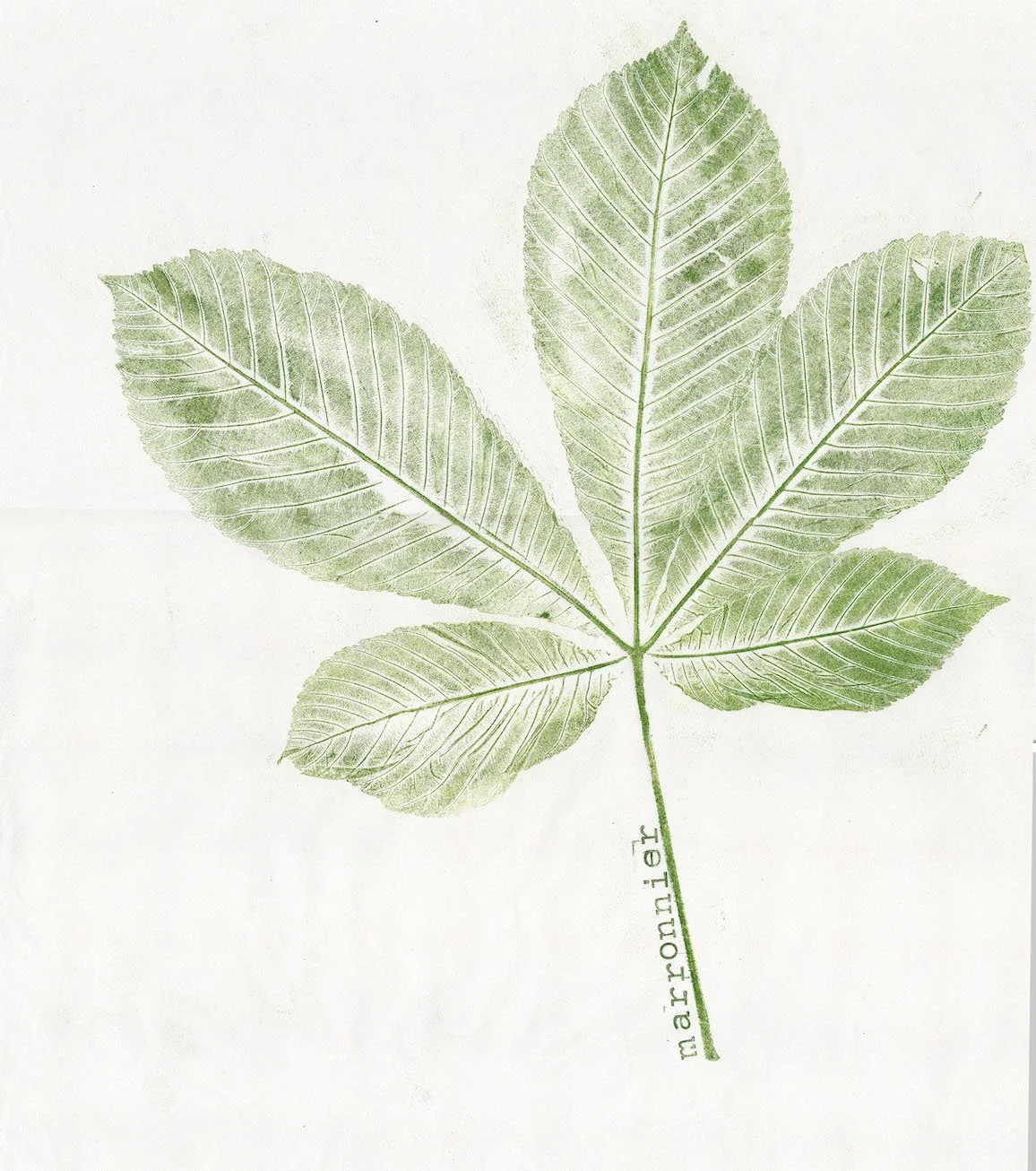 Printemps en scène et Centre de loisirs Les Marronniers, Melun (77) - avril 2025