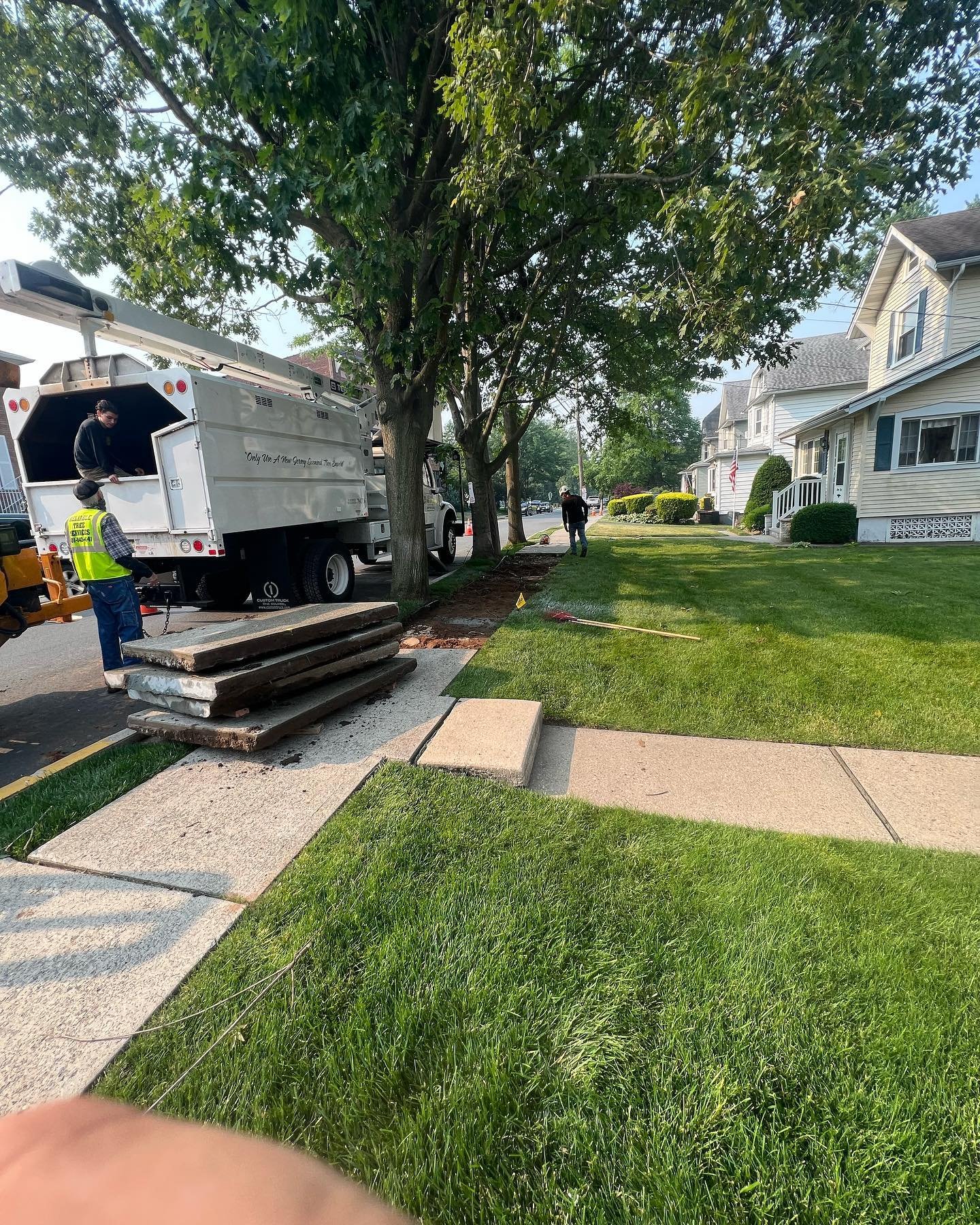 Sidewalks or big pavers? We cant figure it out.. Eitherway call us to avoid an insurance claim!! Lawsuits dont wait why should you? P.s. trees were harmed in these pictures..
