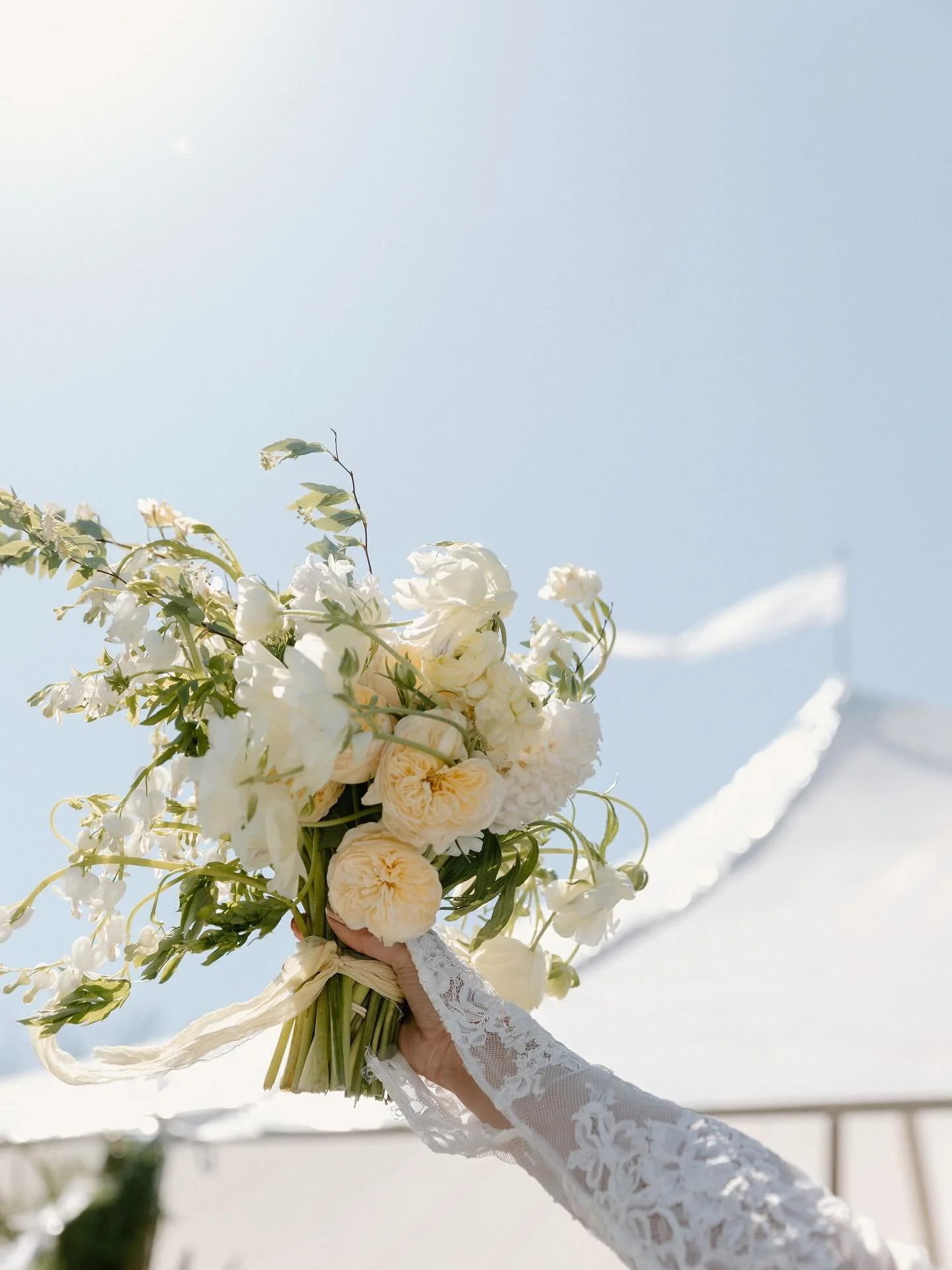 Sailcloth tent detail shots? SAY LESS 🤤

Planning + design @ryleepaigeevents 
Photographer @madison.michelle.photography 
Florist @petalcollectiveomaha 
Sailcloth tent @cottonwoodtentco 
Venue @zeniaomaha 

#sailcloth #sailclothtent #tentwedding #mi