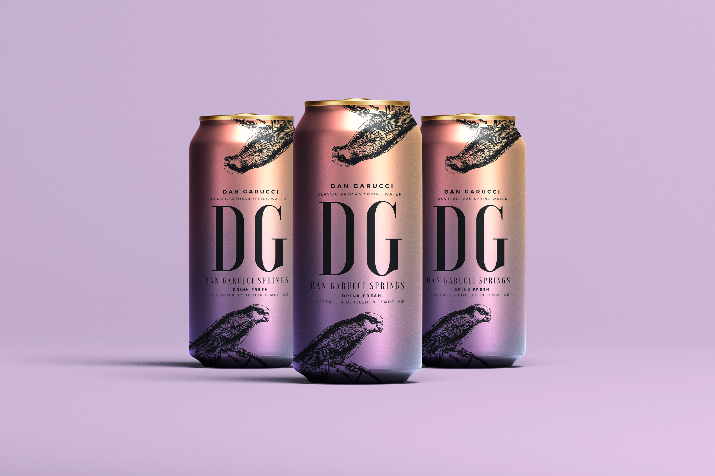 DG 5.png