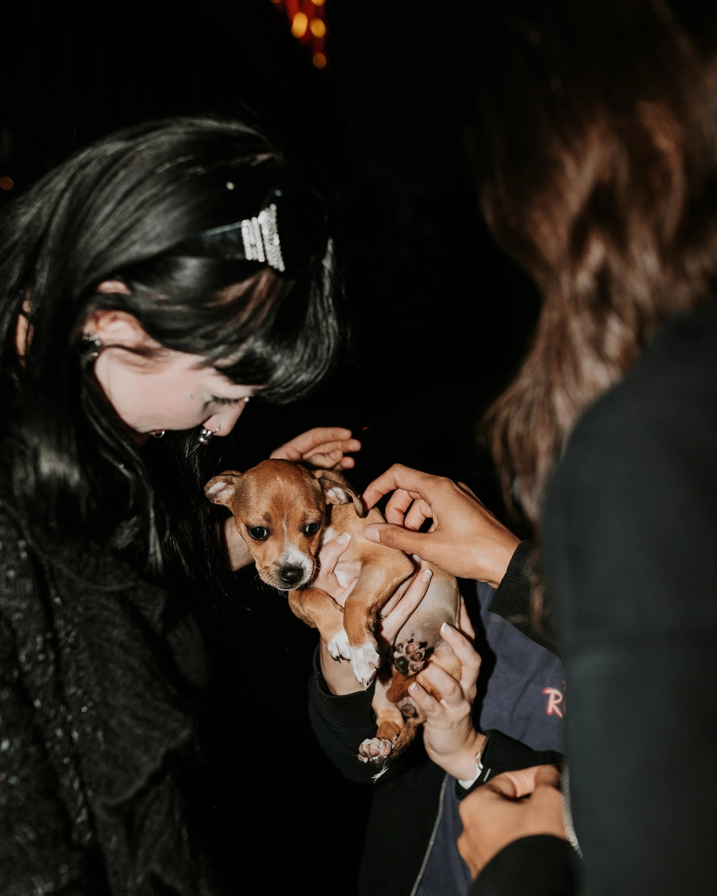 Pizza To The Rescue has puppies to visit with on their outside patio before trivia Tuesday
